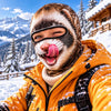 BlueJose Funny Animal Face Ski Mask Donkey Hippo Rabbit & Sloth Crazy Smiling Full Face Balaclava (5 faces)