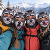 BlueJose Funny Raccoon Face Ski Mask Cute Animal Expressions Smiling Shocked Grumpy & Tongue Out Full Face Balaclava (6 types)