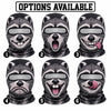 BlueJose Funny Raccoon Face Ski Mask Cute Animal Expressions Smiling Shocked Grumpy & Tongue Out Full Face Balaclava (6 types)