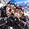 BlueJose Funny Cute Dalmatian Dog & Grumpy Cat Face Ski Mask Realistic Animal Print Full Face Balaclava (5 faces)